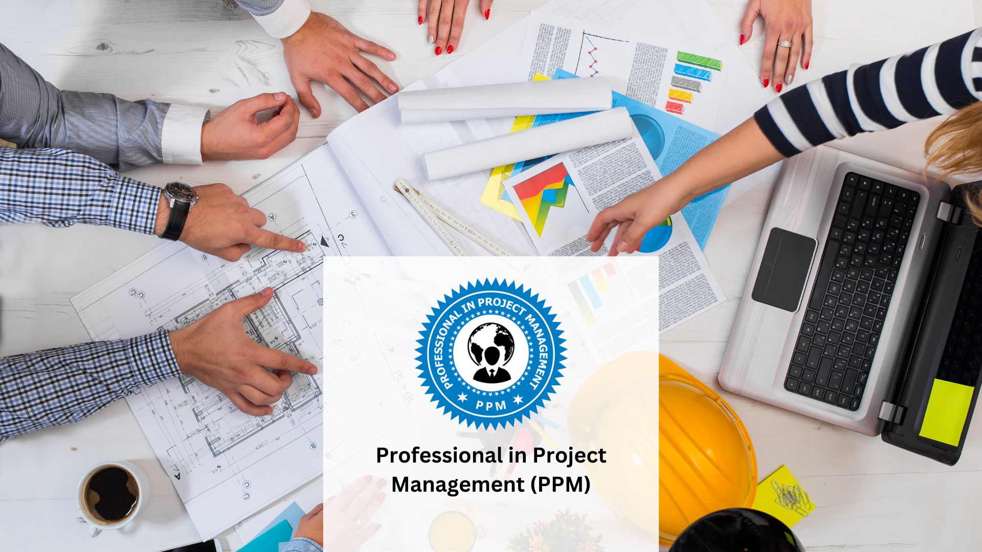 Professional in Project Management (PPM)